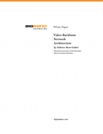 big_whitepaper1.png